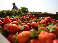 ������ ��������� � 