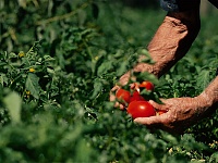 ������ ��������� � 