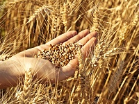 ������ ��������� � 