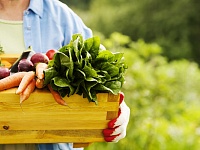 ������ ��������� � 